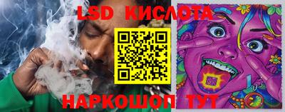 МДПВ Донецк