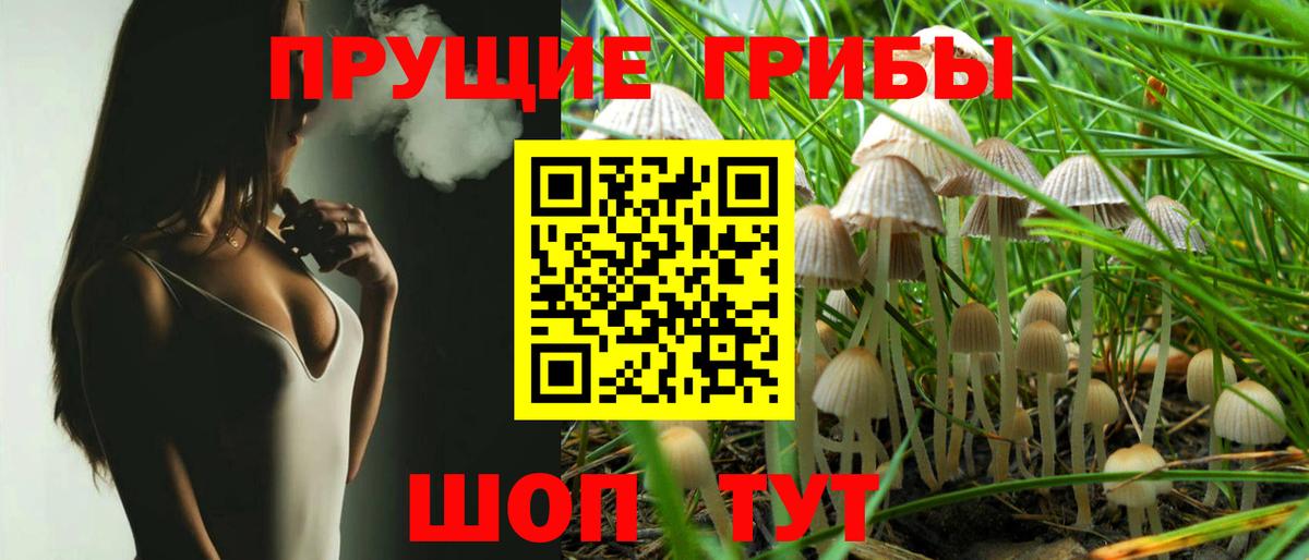 Псилоцибиновые грибы MAGIC MUSHROOMS Кумертау