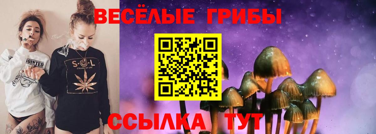 Кумертау  закладка  Вход с VPN  Псилоцибиновые грибы ЛСД 
